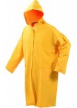 Lietusmētelis (74633)