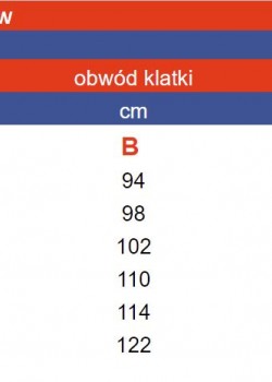 Medicīniskā blūze Regular Fit Medicīniskā blūze Regular Fit