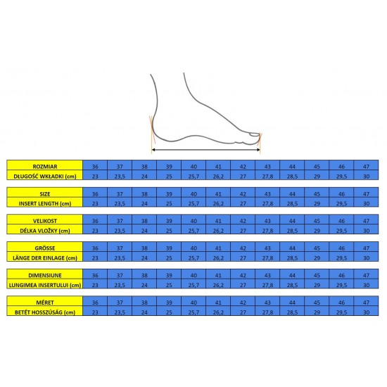 Fitclog Basic Profesionālie apavi balti r.38